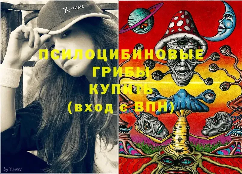 Галлюциногенные грибы MAGIC MUSHROOMS  наркошоп  MEGA как зайти  Кудрово 